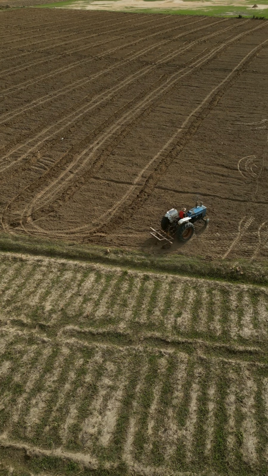 Aerial pola i ruch maszyny w skali całego łanu
