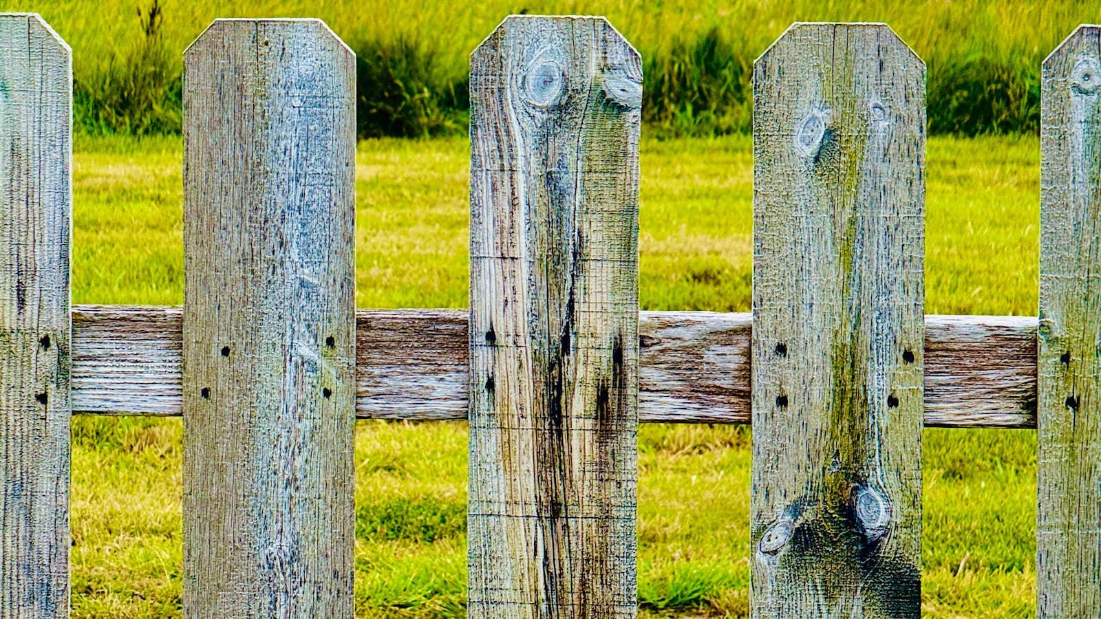Płot i pole jako codzienna granica ekspozycji